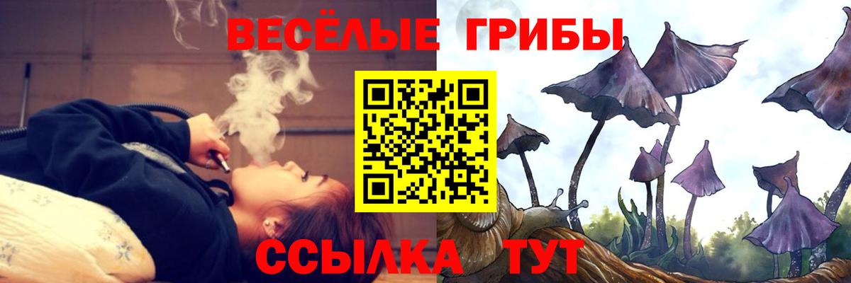 Псилоцибиновые грибы ЛСД  наркошоп  Асино  Вход с VPN 